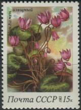 1983, SSSR, 5281, Jarní květiny: Cyclamen europaeum ∗∗