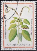 1983, Svatý Tomáš a Princův ostrov, 0865, Léčivé rostliny: Heliotropium indicum ⊙