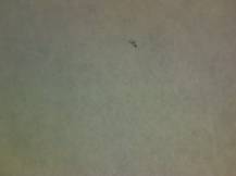 1984, ČSR II, A2667C, Sport - Olympijské hnutí ∗∗