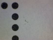 1984, ČSR II, A2667G, Sport - Olympijské hnutí ∗∗