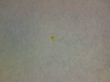 1984, ČSR II, A2667H, Sport - Olympijské hnutí ∗∗