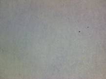 1984, ČSR II, A2667H, Sport - Olympijské hnutí ∗∗