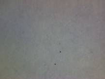 1984, ČSR II, A2667H, Sport - Olympijské hnutí ∗∗