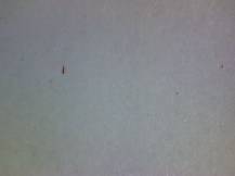 1984, ČSR II, A2671A, Úspěchy socialistické výstavby ∗∗