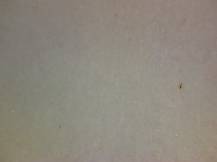 1984, ČSR II, A2671C, Úspěchy socialistické výstavby ∗∗