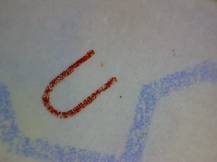 1984, ČSR II, A2671C, Úspěchy socialistické výstavby ∗∗