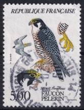 1984, Francie, 2466, Draví ptáci: Falco peregrinus peregrinus ☉
