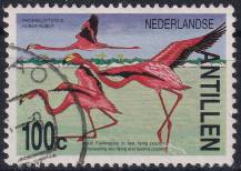 1985, Nizozemské Antily, 0548, Plameňáci ⊙ 