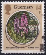 1986, Guernsey, 0359, EUROPA: Ochrana přírody a životního prostředí (Orchis laxiflora)  ⊙