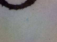 1988, ČSR II, A2840D, 70 let Poštovního muzea ∗∗