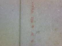 1988, ČSR II, A2846E, Památník národního písemnictví v Praze - Praga 88 ∗∗