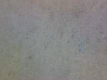 1988, ČSR II, A2846E, Památník národního písemnictví v Praze - Praga 88 ∗∗