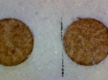 1988, ČSR II, ZSL2834/2835B, Historické automobily ∗∗