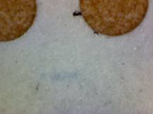 1988, ČSR II, ZSL2834/2835B, Historické automobily ∗∗