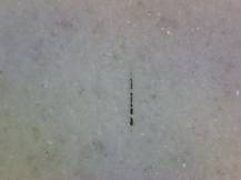 1988, ČSR II, ZSL2834/2835B, Historické automobily ∗∗