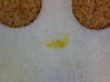 1988, ČSR II, ZSL2834/2835D, Historické automobily ∗∗