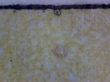 1988, ČSR II, ZSL2834/2835F, Historické automobily ∗∗