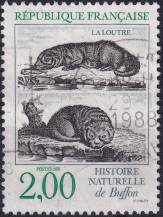 1988, Francie, 2676, Kresby zvířat z díla "Historie přírody" od Louise Leclerca, hraběte z Buffonu (1707-1788), přírodovědce: Lutra lutra ⊙