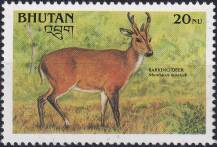 1990, Bhútán, 1325, Ohrožení savci: Muntiacus muntjak ✶✶