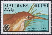 1990, Maledivy, 1437, Vodní ptáci: Ixobrychus cinnamoneus ✶✶