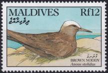 1990, Maledivy, 1440, Vodní ptáci: Anous stolidus ✶✶