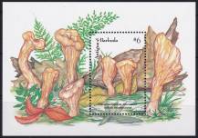 1992, Antigua a Barbuda, A234, Houby: Clavariadelphus truncatus ✶✶