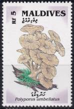 1992, Maledivy, 1732, Houby: Polyporus umbellatus ✶✶