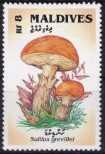 1992, Maledivy, 1733, Houby: Sulillus grevillei ✶✶