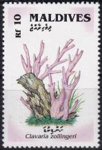 1992, Maledivy, 1734, Houby: Clavaria zollingeri ✶✶