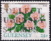 1993, Guernsey, 0604A, Výplatní známka: Květiny - Rosa cultivar.  ⊙