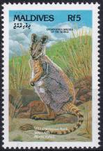 1993, Maledivy, 1982, Vzácné druhy zvířat: Petrogale sp. ✶✶