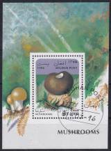 1996, Afghánistán, A086, Houby ⊙