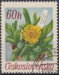 Obrázek k výrobku 15677 - 1967, ČSR II, 1632, Květiny botanických zahrad: Lycaste deppei Lindl, ⊙