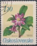 Obrázek k výrobku 15679 - 1967, ČSR II, 1634, Květiny botanických zahrad: Anthurium andreanum Lindl, ⊙