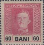 Obrázek k výrobku 23113 - 1918, Rakousko (Polní pošta v Rumunsku), 28, Výplatní známka: Císař Karel I. ∗
