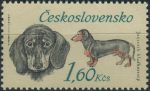 Obrázek k výrobku 33788 - 1973, ČSR II, 2042, Lovečtí psi: Irský setr ∗∗