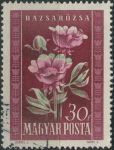 Obrázek k výrobku 35536 - 1950, Maďarsko, 1106, 1. kongres svazů pracovníků s mládeží ⊙