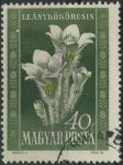 Obrázek k výrobku 35537 - 1950, Maďarsko, 1112, Maďarská flóra: Paeonia officinalis ⊙