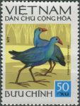 Obrázek k výrobku 35685 - 1972, Vietnam, 0704, Domácí ptactvo: Galicrex cinerea ∗∗
