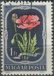 Obrázek k výrobku 35799 - 1951, Maďarsko, 1210, Domácí flóra: Tulipa gesneriana ⊙