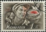 Obrázek k výrobku 35917 - 1952, Maďarsko, 1239, Letecká známka: Domácí ptactvo - Plegadis falcinellus ⊙