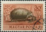 Obrázek k výrobku 36133 - 1953, Maďarsko, 1285, Letecká známka: Fauna - Sciurus vulgaris ⊙