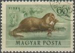Obrázek k výrobku 36136 - 1953, Maďarsko, 1288, Letecká známka: Fauna - Martes foinar ⊙