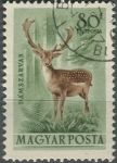 Obrázek k výrobku 36138 - 1953, Maďarsko, 1290, Letecká známka: Fauna - Vulpes vulpes ⊙