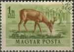 Obrázek k výrobku 36139 - 1953, Maďarsko, 1291, Letecká známka: Fauna - Dama dama ⊙