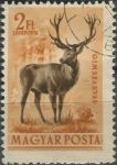Obrázek k výrobku 36140 - 1953, Maďarsko, 1292, Letecká známka: Fauna - Capreolus capreolus ⊙