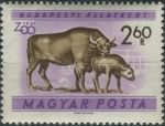Obrázek k výrobku 38104 - 1961, Maďarsko, 1734A, Budapešťská zoologická zahrada: Equus quagga ∗∗