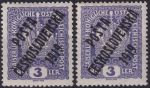 Obrázek k výrobku 42446 - 1919, ČSR I, 0038VV, PČ 1919: Výplatní známka malého formátu z let 1916-1918 (císař Karel I.) ✶