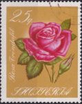 Obrázek k výrobku 43262 - 1967, Albánie, 1155, Ušlechtilé růže ⊙