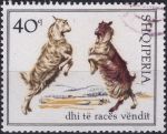 Obrázek k výrobku 43282 - 1968, Albánie, 1257, Domácí kozy ⊙